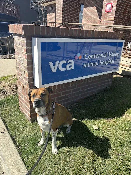 VCA Centennial Valley Animal Hospital 9
