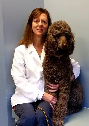 VCA Centennial Valley Animal Hospital 3