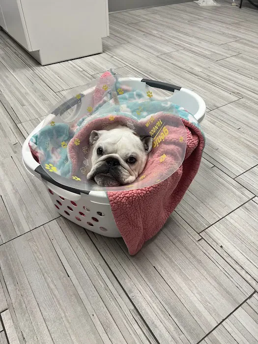 Happy Paws Veterinary Hospital LLC 4
