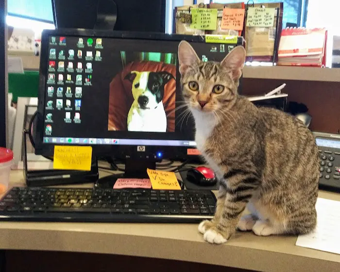 Aurora Hills Animal Hospital 3