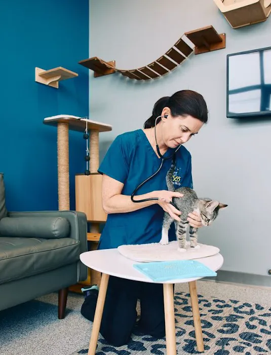 PetVet365 Pet Hospital Aurora 12