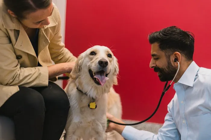 PetVet365 Pet Hospital Aurora 12