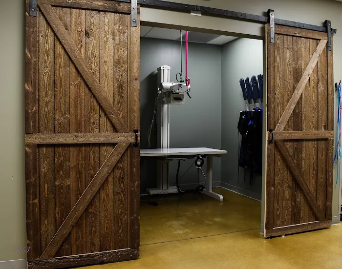 Brooklyn Veterinary Clinic 10