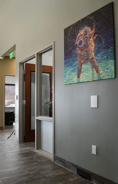 Brooklyn Veterinary Clinic 6