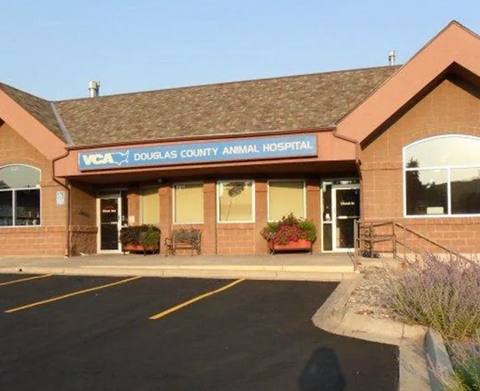 VCA Douglas County Animal Hospital 12