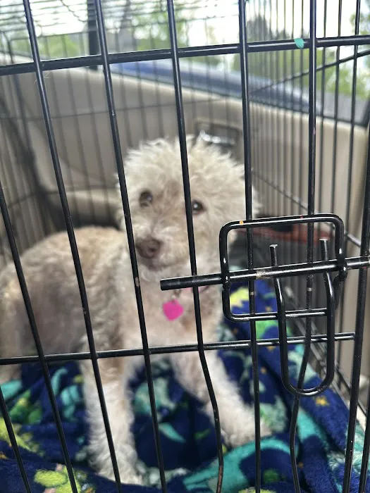 VCA Douglas County Animal Hospital 12