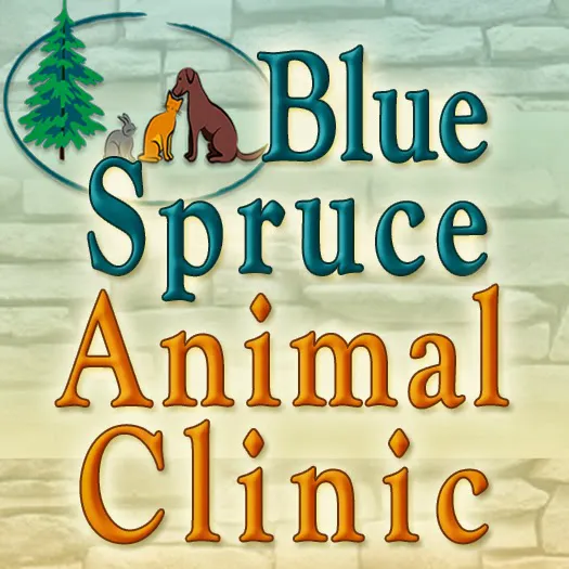 Veterinarian: Albert Chai, DVM 12