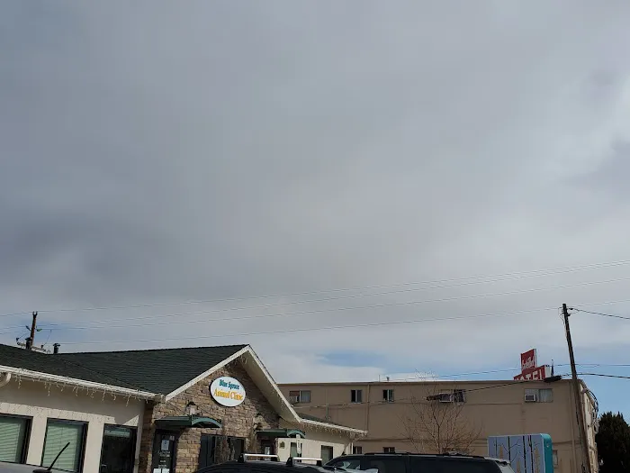 Blue Spruce Animal Clinic 6