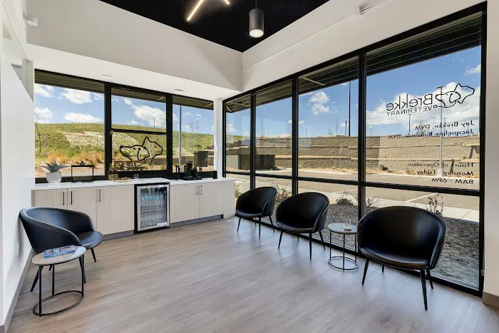 Brekke Veterinary Clinic Aloha Street 3