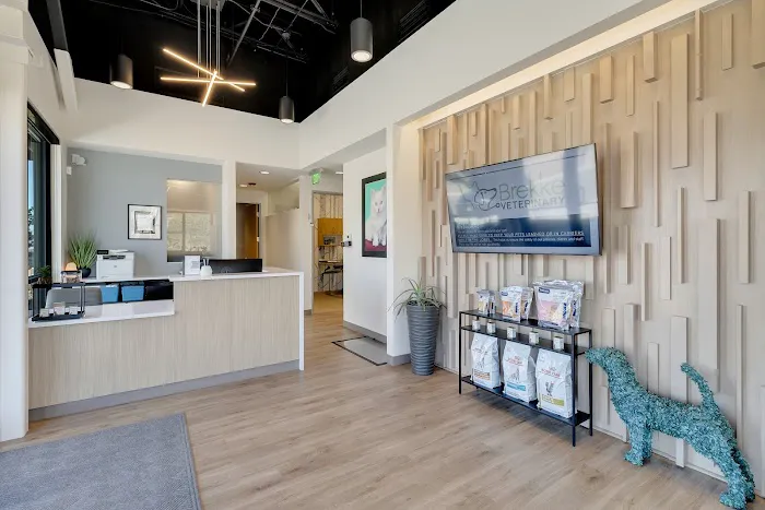 Brekke Veterinary Clinic Aloha Street 2