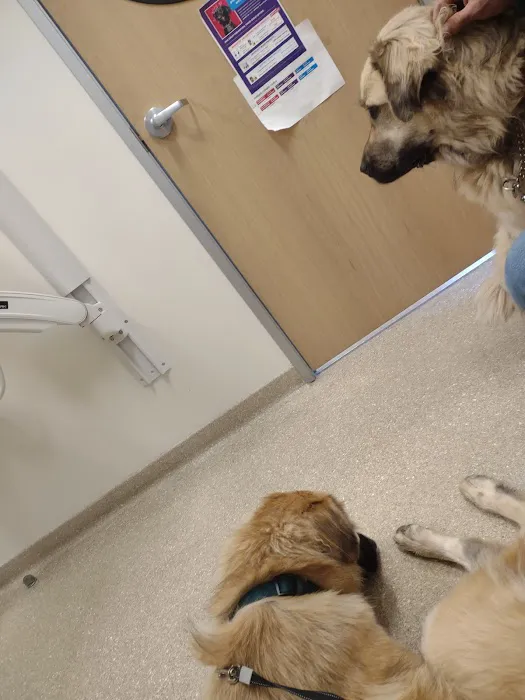Brekke Veterinary Clinic Aloha Street 1