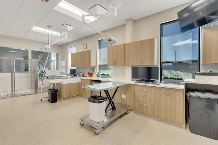 Brekke Veterinary Clinic Aloha Street 4