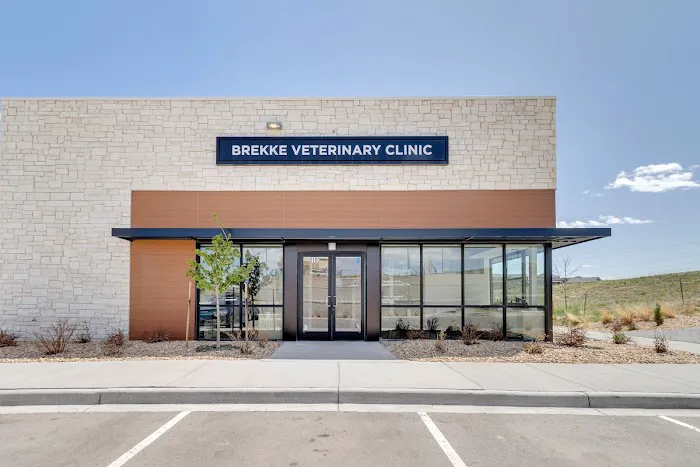 Brekke Veterinary Clinic Aloha Street 5
