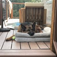 Crow Hill Veterinary Hospital ico