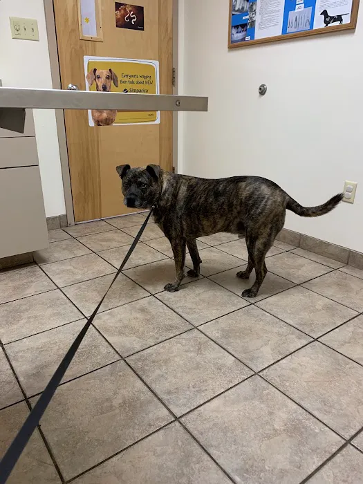 Pitman Animal Hospital 7