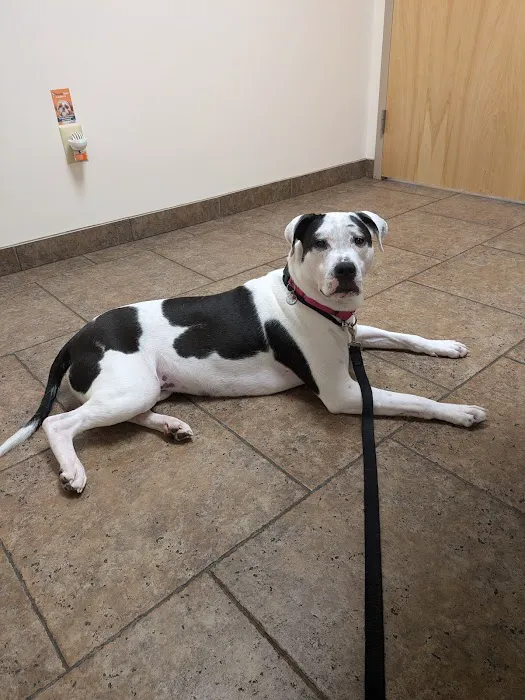 Pitman Animal Hospital 5