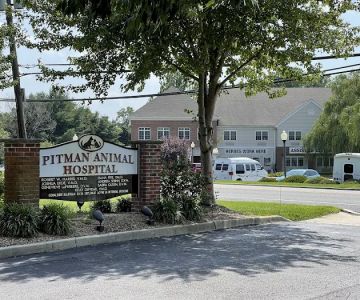 Pitman Animal Hospital: La Ferriere Genevieve DVM