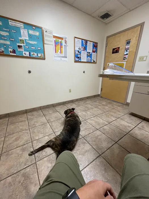 Pitman Animal Hospital: La Ferriere Genevieve DVM 6