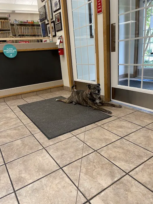 Pitman Animal Hospital: La Ferriere Genevieve DVM 5