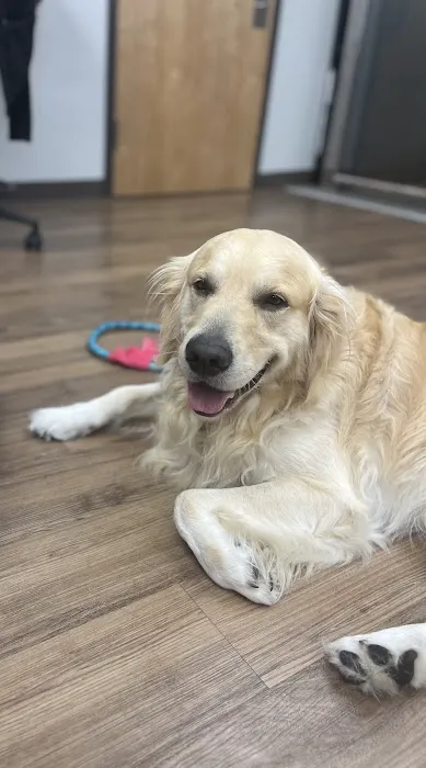 First State Urgent Vet 2