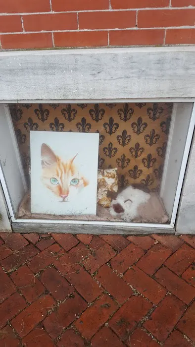 Chester County Cat Hospital 1