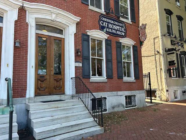 Chester County Cat Hospital 6