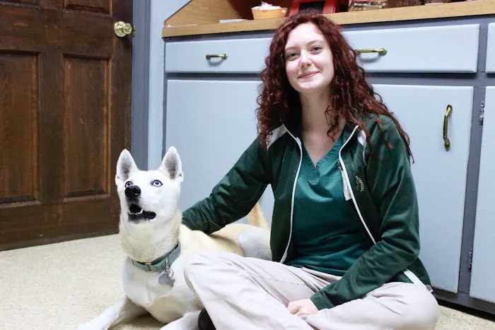 Graylyn Crest Animal Hospital 1