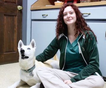 Graylyn Crest Animal Hospital