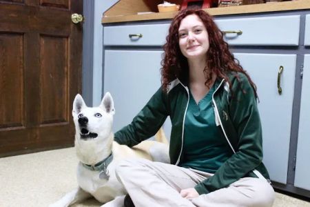 Graylyn Crest Animal Hospital