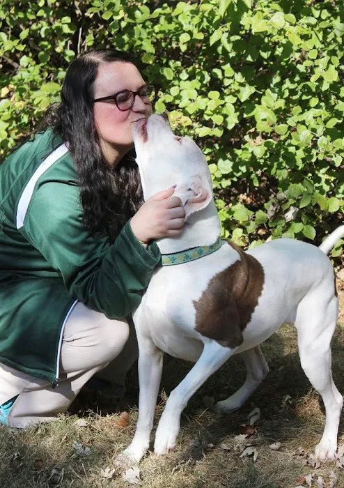 Graylyn Crest Animal Hospital 3