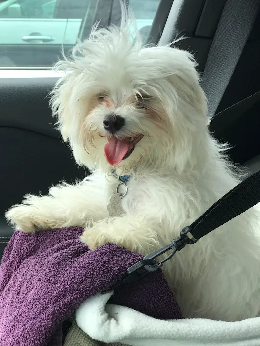 Graylyn Crest Animal Hospital 9