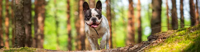 Graylyn Crest Animal Hospital 6