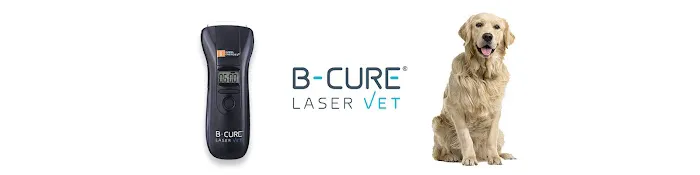 B-Cure Laser Vet 12