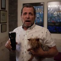 B-Cure Laser Vet ico