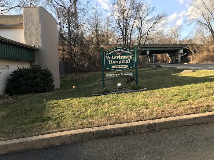 Brandywine Hundred Veterinary Hospital 10