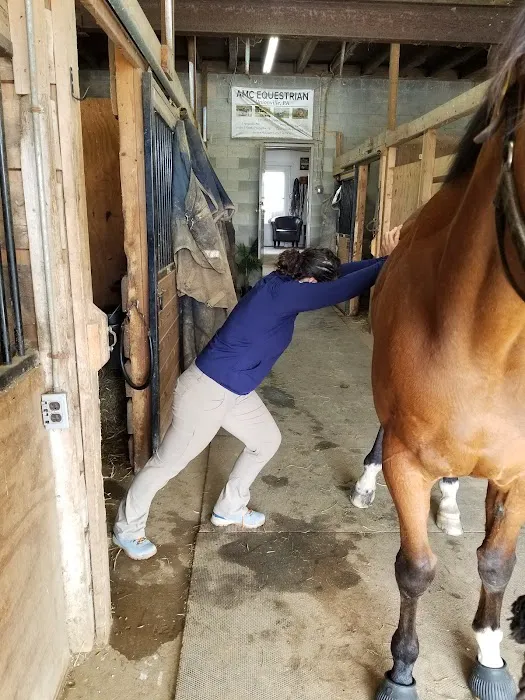 Clay Creek Equine Veterinary Services, LLC 12