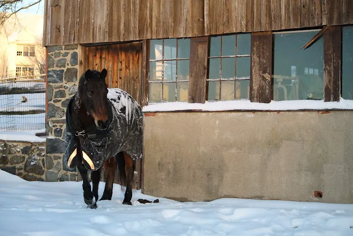 Clay Creek Equine Veterinary Services, LLC 12