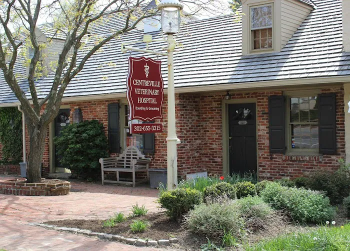 Centreville Veterinary Hospital 7