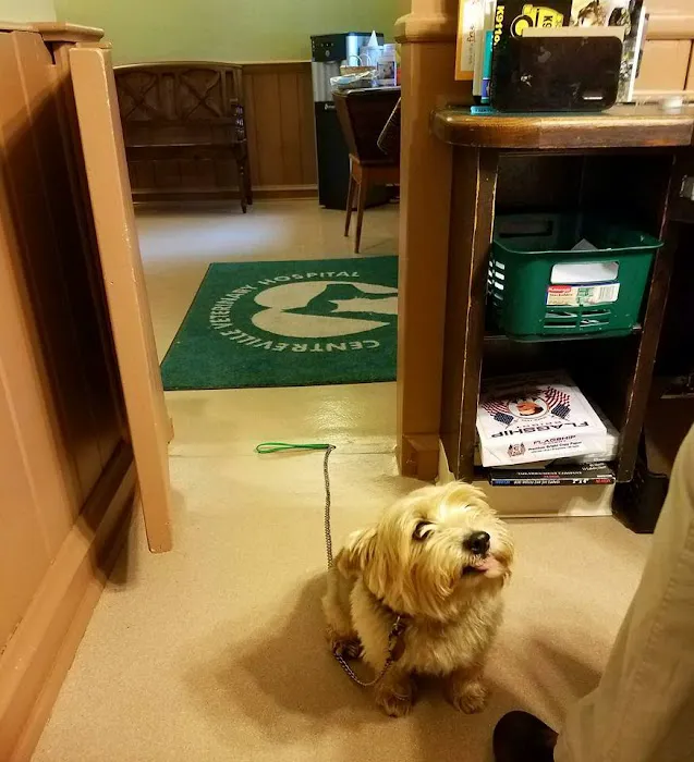 Centreville Veterinary Hospital 4