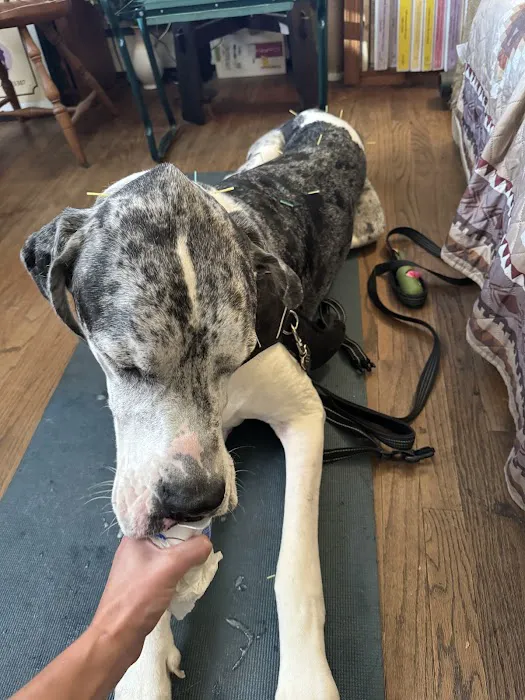 Dr. McKinstry's Holistic Veterinary Clinic 4