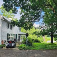 Dr. McKinstry's Holistic Veterinary Clinic ico