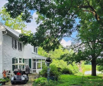 Dr. McKinstry's Holistic Veterinary Clinic