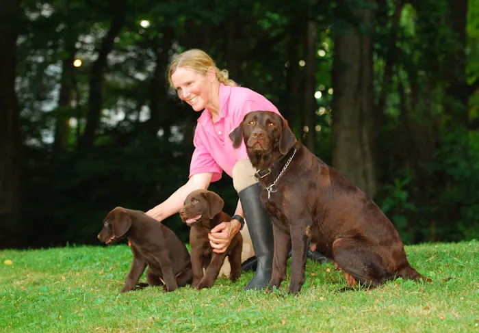 Dr. McKinstry's Holistic Veterinary Clinic 9