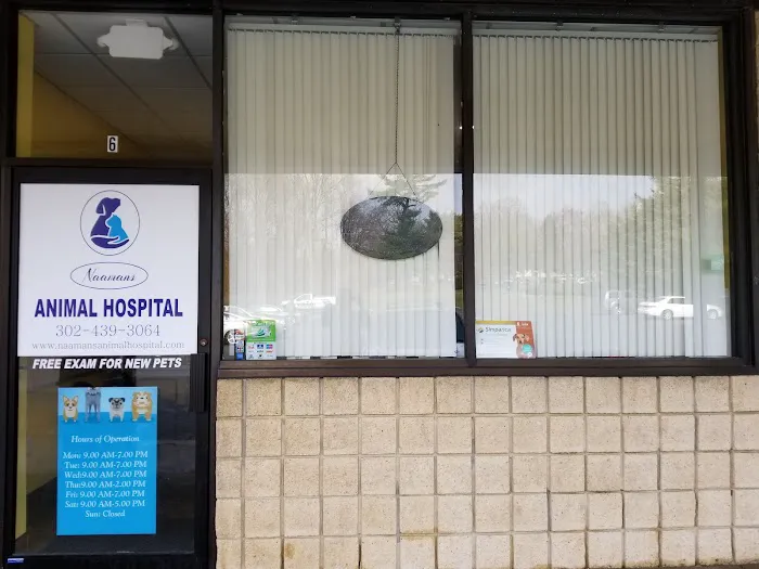 Naamans Animal Hospital 10