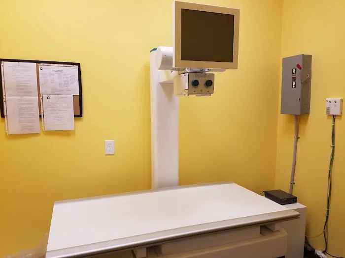 Naamans Animal Hospital 1