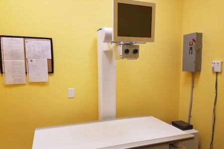 Naamans Animal Hospital