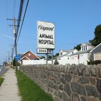 Claymont Animal Hospital ico