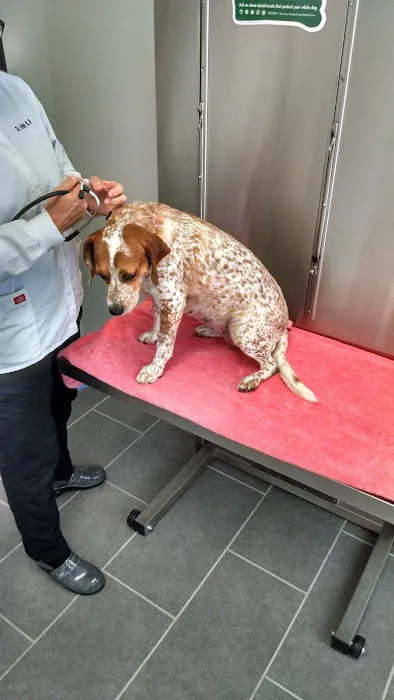 Claymont Animal Hospital 12