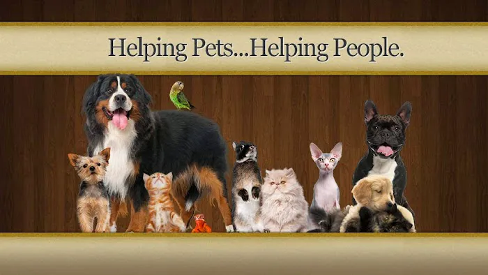 Main Line Veterinary Hospital 2