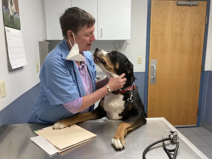 West Chester Animal Hospital 4
